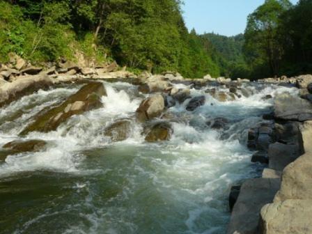 Caloroczne Domki Zacisze Hnatowego Berda W Wetlinie Ветлина Екстер'єр фото