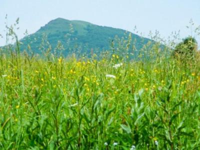 Caloroczne Domki Zacisze Hnatowego Berda W Wetlinie Ветлина Екстер'єр фото
